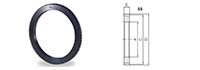 Steel Ring Gears (Spur-Gears) SSR