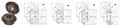 Spiral-Miter-Gears--MMSA-MMSB-_Dim